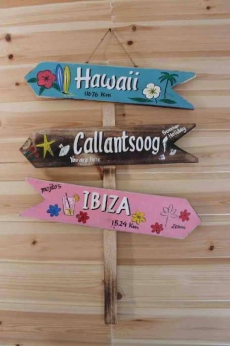 Knus Vakantiehuis 100M Van Het Strand 칼란트소그 외부 사진